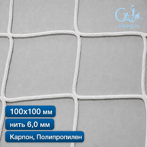 Защитная сетка от дронов 100х100 мм 6 мм белая капрон/полипропилен (мин. заказ 600 м2)